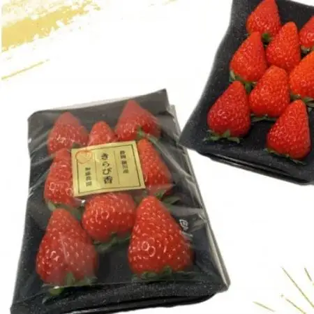 【2027年先行受付】いちご【きらぴ香】1箱 (1箱2パック入り 約250g×2)【配送不可地域：離島・北海道・沖縄県・四国・九州】【1634076】