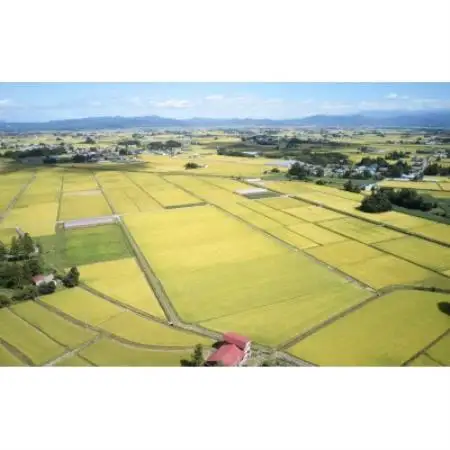 【先行予約】令和8年産　山形県産　はえぬき　無洗米10kg(5kg×2)【1755904】