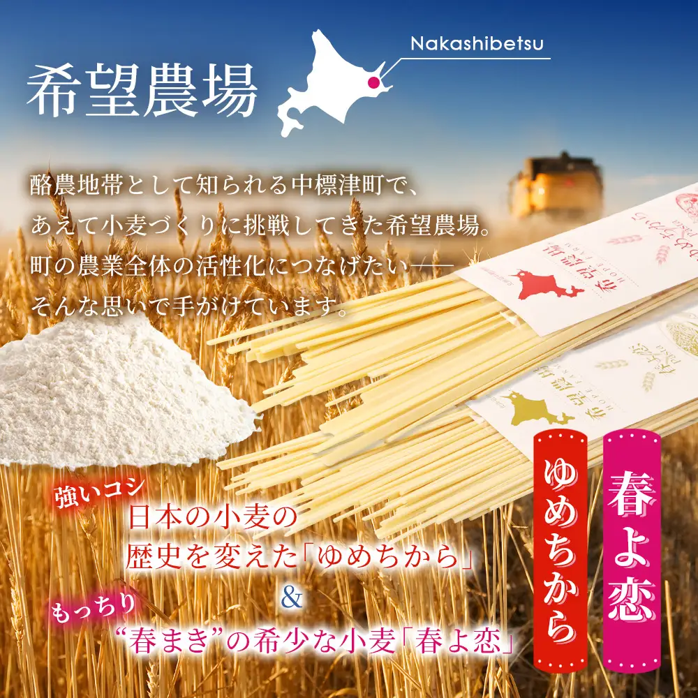 北海道中標津町産「春よ恋」パスタ・「ゆめちから」パスタ 各3袋（合計6袋）【82006】