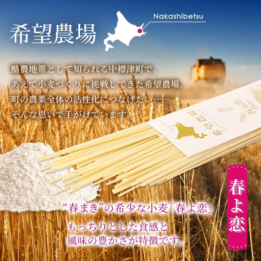 北海道中標津町産「春よ恋」パスタ×6袋【82003】