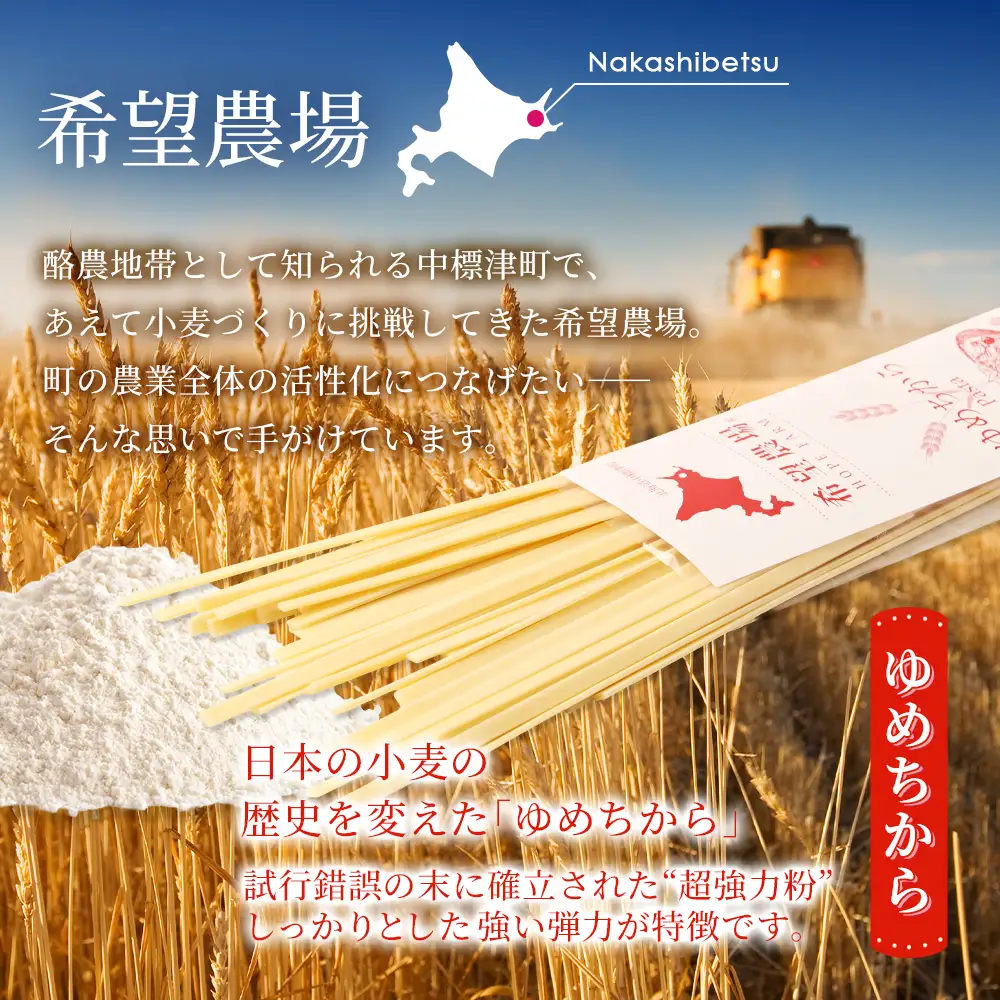 北海道中標津町産「ゆめちから」パスタ×4袋【82002】