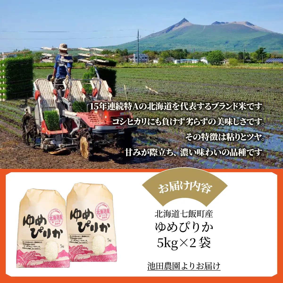 【先行予約 令和8年10月下旬発送】北海道産 ゆめぴりか 10kg (5㎏×2袋) NABR002