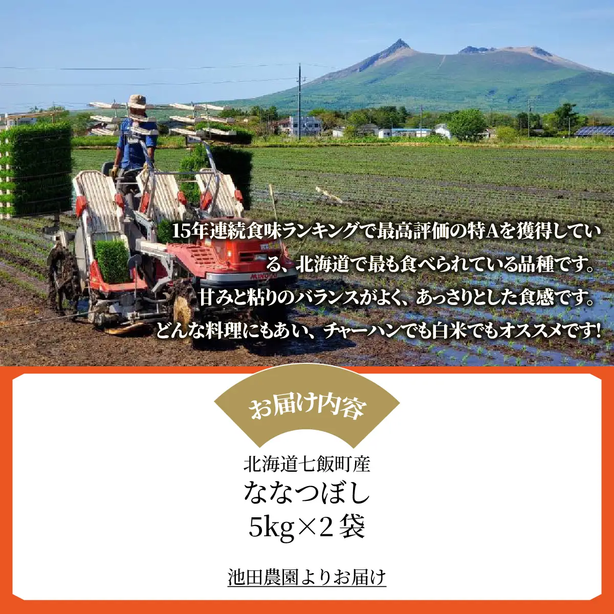 【先行予約 令和8年10月下旬発送】ななつぼし 10kg (5㎏×2袋) NABR003