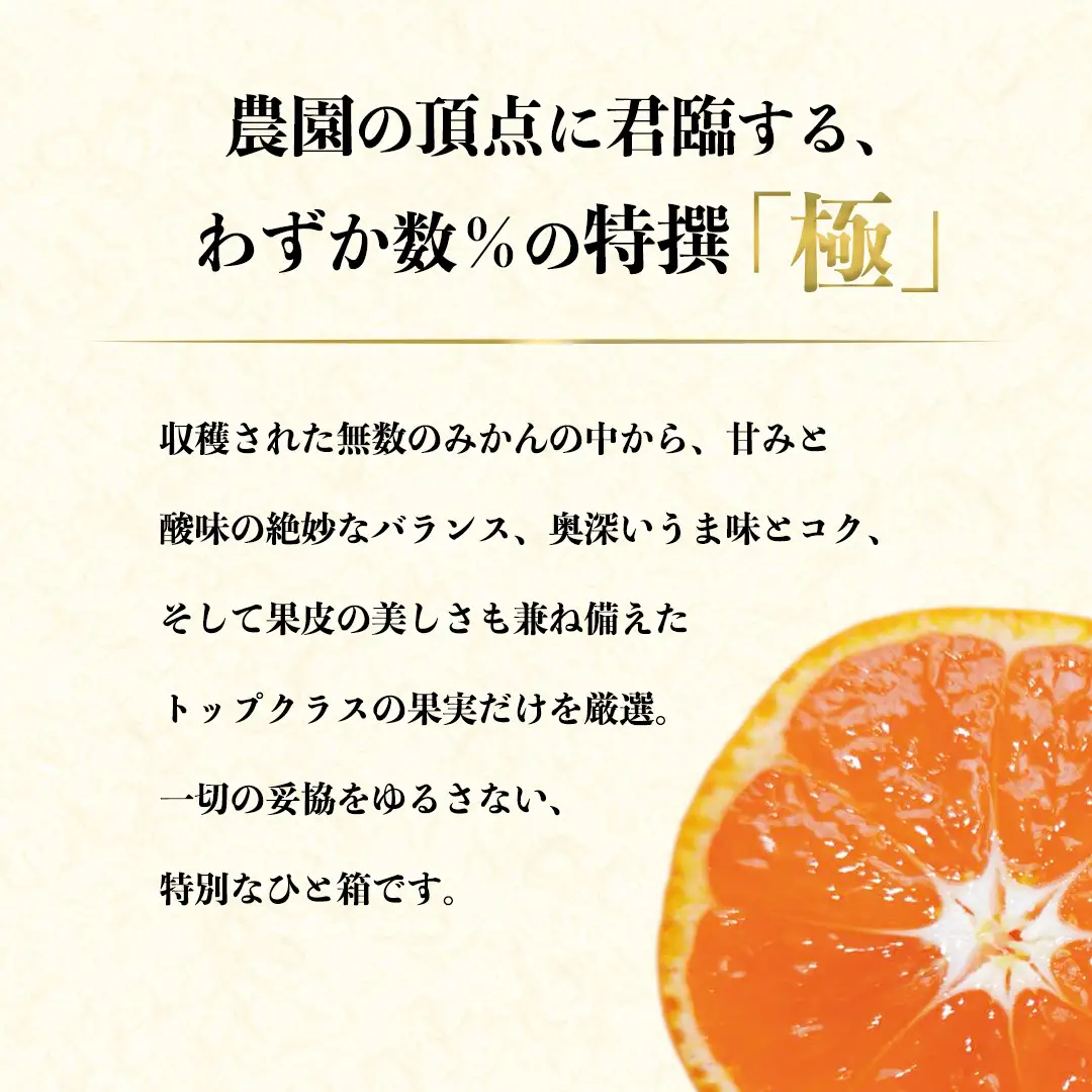 皮まで食べられる！ 特選プレミアム オーガニックみかん 極 (きわみ) 約1.5kg 【先行予約 11月～1月中旬発送予定】  