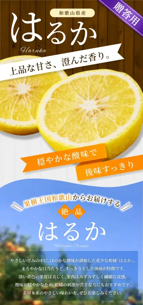 【贈答用】 森本農園の手選別 はるか 約2kg 和歌山県産 L～2Lサイズ 【北海道・沖縄・離島配送不可】【2027年3月上旬～2027年4月上旬頃に順次発送】【BV-mrmt105】