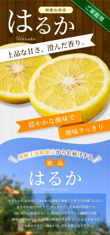 【ご家庭用】 森本農園の手選別 はるか 約5kg 和歌山県産 サイズ混合 【北海道・沖縄・離島配送不可】【2027年3月上旬～2027年4月上旬頃に順次発送】【BV-mrmt109】