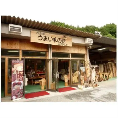 イチョウ(銀杏)のまな板(小)【1535253】