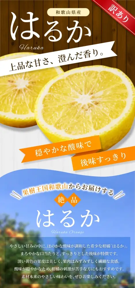 【訳あり】 森本農園の手選別 はるか 約10kg 和歌山県産 サイズ混合 【北海道・沖縄・離島配送不可】【2027年3月上旬～2027年4月上旬頃に順次発送】【BV-mrmt112】