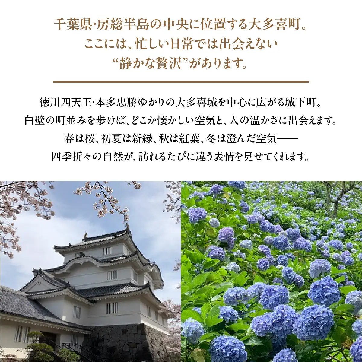 大多喜町内共通お食事券1000円分×３枚　W01207