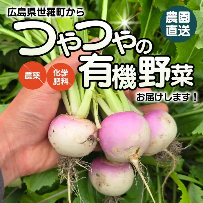季節の野菜詰め合わせセット 7～10類 A079-01