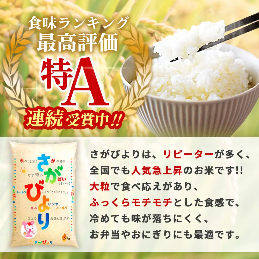☆2010年から連続特A受賞☆令和7年産 さがびより 10kg(5kg×2袋) K082003