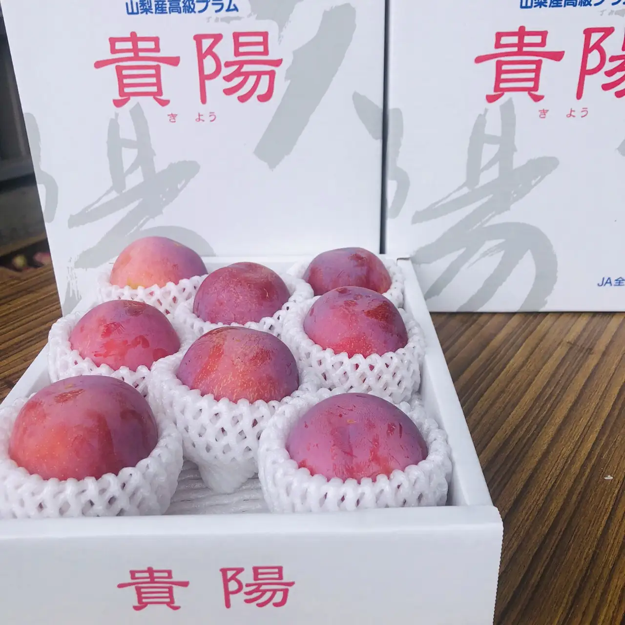 ＜2026年発送先行予約＞南アルプス市芦安産 すもも「貴陽」約1.8kg（8～11玉入り） ALPFN009