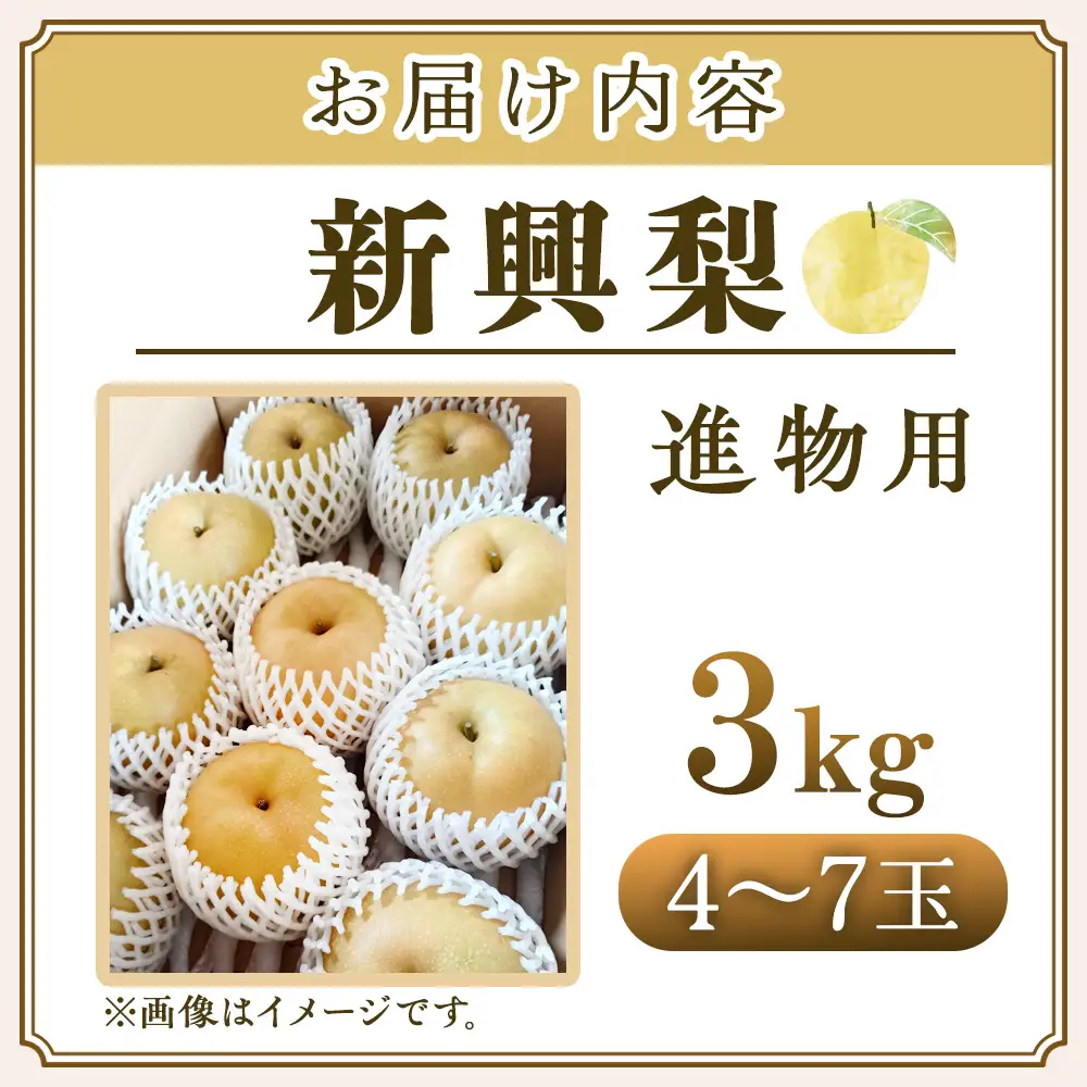 新興梨【進物用】3kg（三ツ田農園） 鳥取 梨 果物 フルーツ 和梨 新興梨 しんこうなし 人気 甘い 進物 贈答用