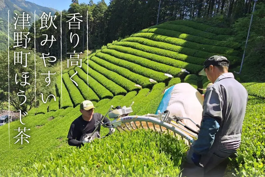 ほうじ茶 二段焙煎浅煎りほうじ茶 ティーバッグ 2.5g×6p
