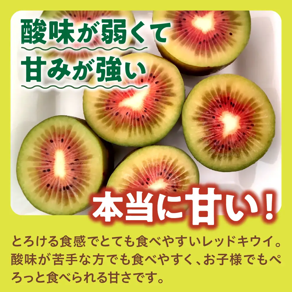 【先行受付】【2026年12月上旬～発送 】レッドキウイ 1.8kg 稀少 甘い 呉 広島 フルーツ 美容 健康 キウイ 呉市 広島県