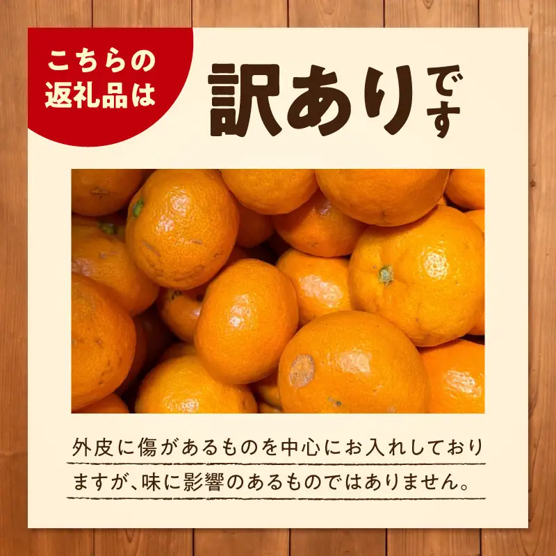 《2026年12月上旬～12月下旬頃までに順次発送予定》【2026年先行予約】有田みかん 早生 約2.6kg 訳あり_TR1004