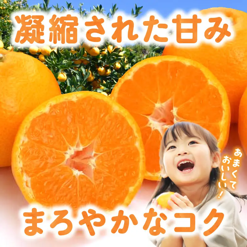 【2026年先行予約】ご家庭用有田みかん箱込み約3kg_AN6117