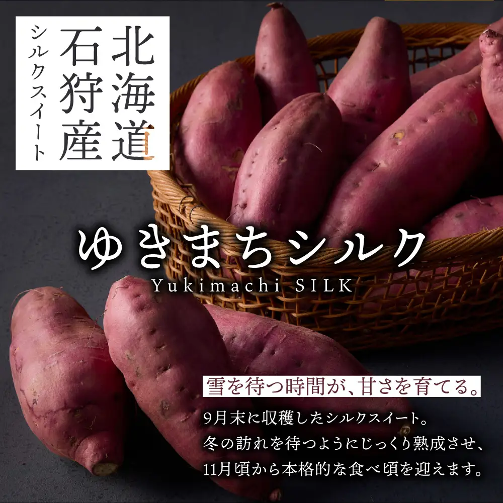 【先行予約】ゆきまちシルク 3kg（11月発送） | シルクスイート さつまいも 北海道 石狩市