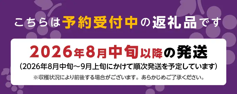 【8月中旬より順次発送】池尻農園 露地巨峰6房～10房 約3kg 〔Fg019-02〕