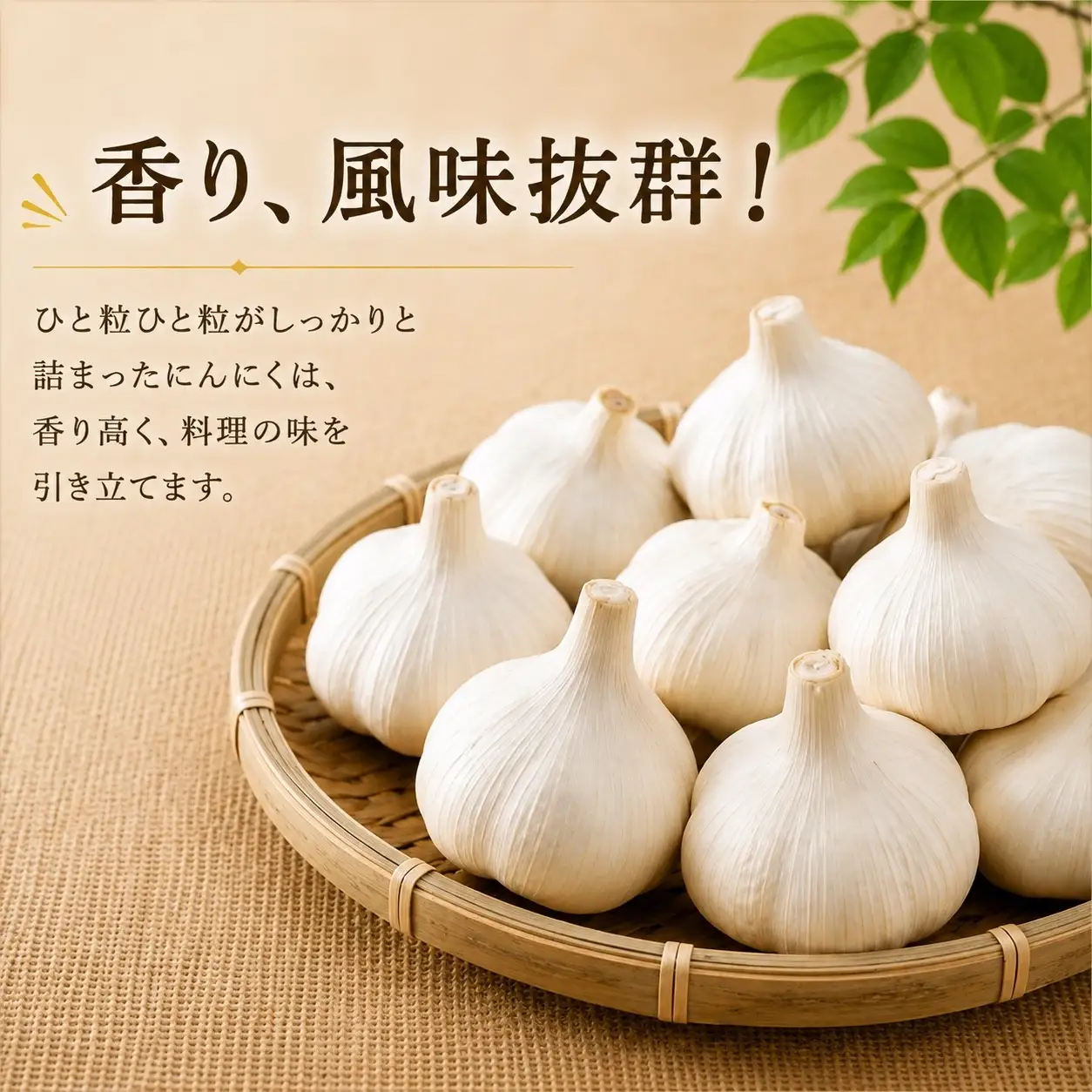 【2026年9月発送】標茶の恵み　こだわりのにんにく　１箱500グラム入り（Mサイズ約８～１０個）