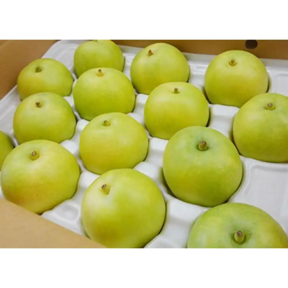 二十世紀梨【進物】5kg（有梨の実　石田） 鳥取 梨 果物 フルーツ 和梨 二十世紀梨 20世紀梨 人気 甘い 進物 贈答用 赤秀