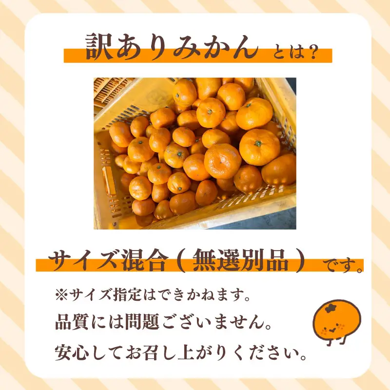 【訳あり】早生みかん 10kg 日南 minorien 静岡 牧之原