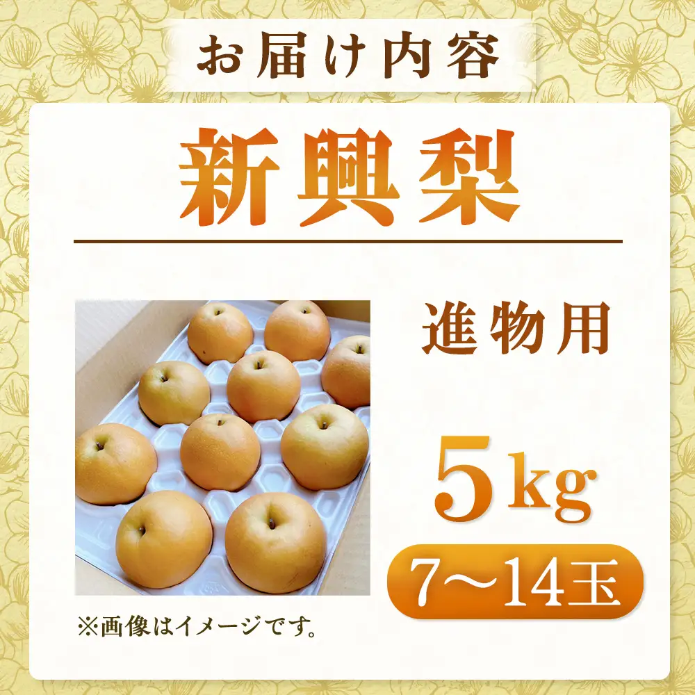 新興梨【進物用】5kg（有梨の実　石田） 鳥取 梨 なし ナシ 果物 フルーツ 和梨 新興梨 しんこうなし 人気 進物 贈答用