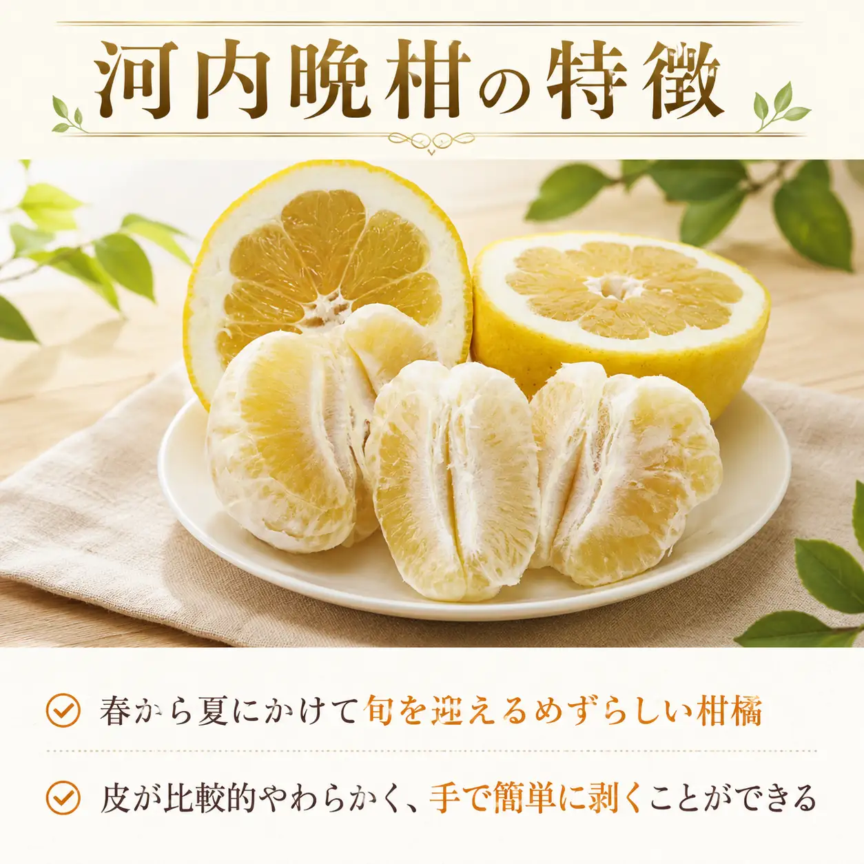 【先行予約】2027年4月中旬より発送  河内晩柑 4kg