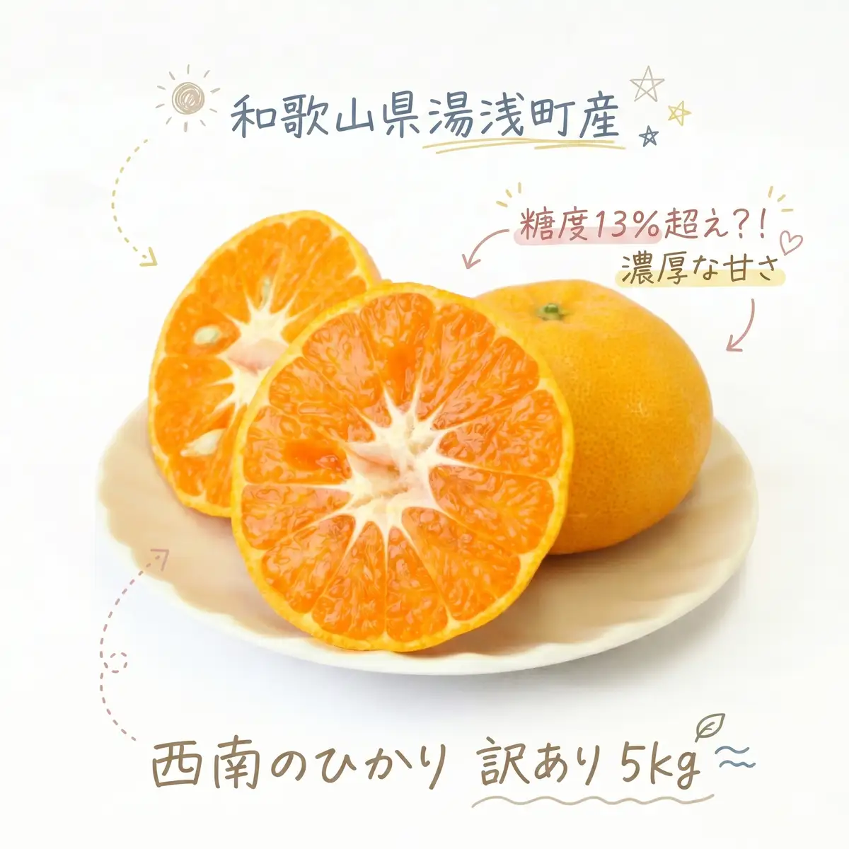 【2026年先行予約】《訳あり 家庭用》西南のひかり 約5kg（S～2Lサイズ混合）_EQ6008
