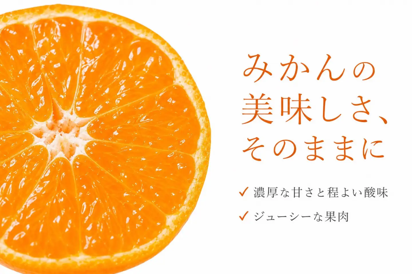 ［ご家庭用訳あり］有田みかん10kg 2S〜2Lサイズ混合［UT152］