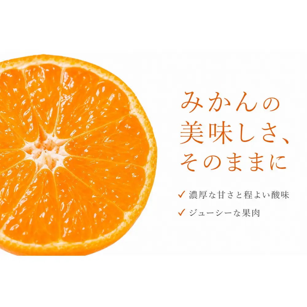 ［ご家庭用訳あり］有田みかん10kg 2S〜2Lサイズ混合［UT152］