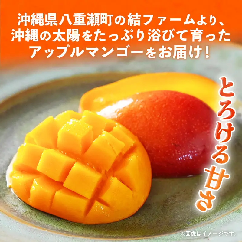 【化粧箱入り】【先行受付・2026年発送】結ファーム 優品 アップルマンゴー 約2kg （4～8玉）- 産地直送 先行予約 沖縄県産 贈り物 ギフト 南国フルーツ 旬の味覚 オススメ 沖縄県 八重瀬町