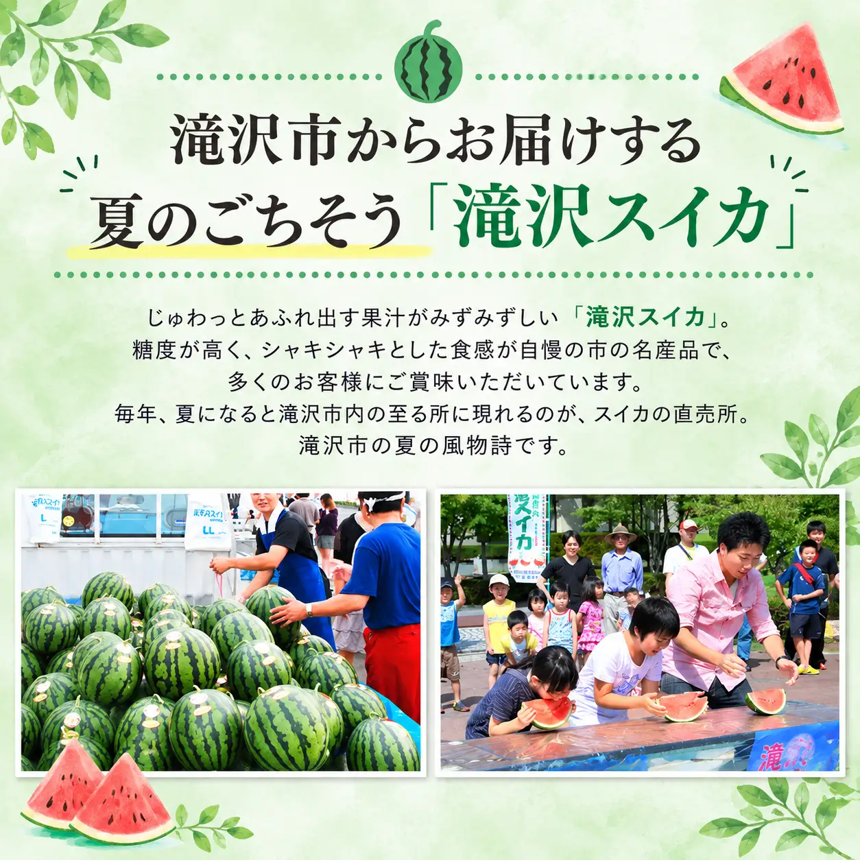 滝沢スイカ 3L 8kg すいか 西瓜  1玉 令和8年産