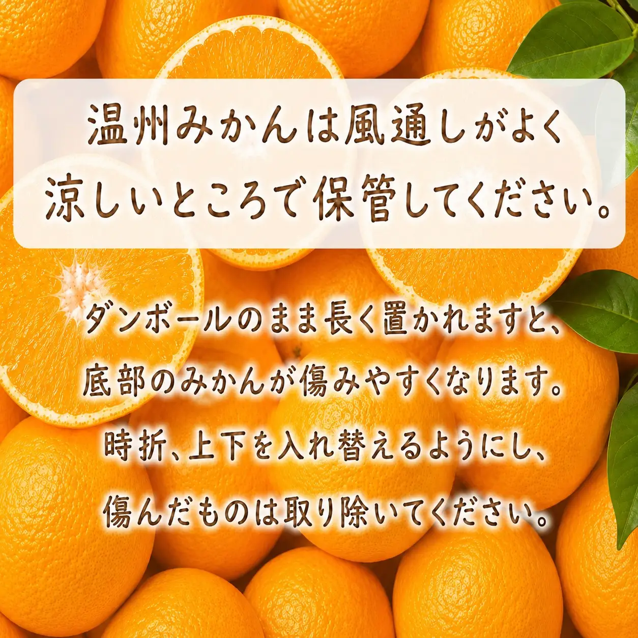 成田果樹園の温州みかん 5kg（ご家庭用）［1832］