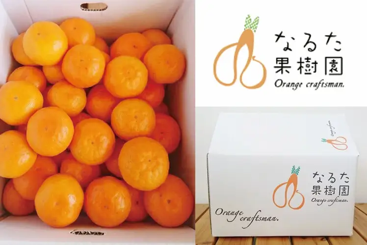 成田果樹園の温州みかん 3kg（ご家庭用）［1816］