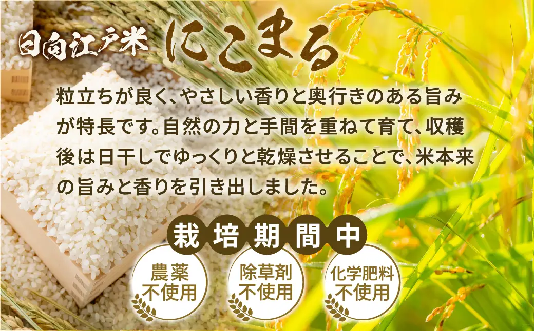 【12か月定期便】天日干しが引き出す お米の旨味 日向江戸米（にこまる）【分つき】合計60kg 国産米 ブランド米 農薬不使用 化学肥料不使用 無農薬 ごはん ご飯 おにぎり お弁当 冷めても美味しい 精米したて 和食 主食 人気 おすすめ 宮崎県 綾町 送料無料_A0038-046