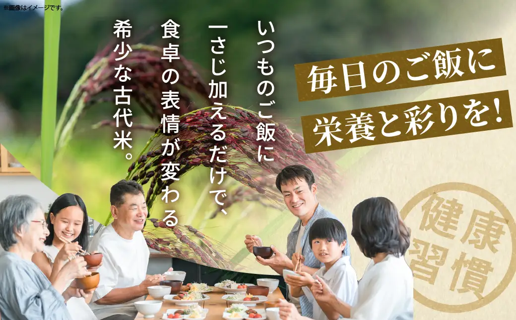 毎日のご飯に栄養と彩りをプラス 古代米（黒米・緑米）セット 合計6袋（140g × 各3袋）雑穀米 国産米 無農薬 農薬不使用 化学肥料不使用 自然栽培 ご飯 米 お米 ブレンド米 彩りご飯 もちもち 白米に混ぜるだけ 食物繊維 希少 国産雑穀 宮崎県 綾町 送料無料_A0038-047