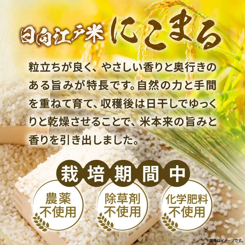 天日干しが引き出す お米の旨味 日向江戸米（にこまる）【玄米】計25kg 国産米 ブランド米 農薬不使用 化学肥料不使用 無農薬 ごはん ご飯 おにぎり お弁当 冷めても美味しい もっちり食感 和食 主食 人気 おすすめ 宮崎県 綾町 送料無料_A0038-032
