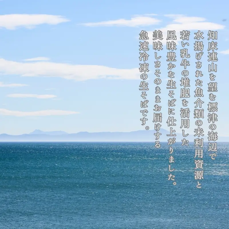 【十割そば】十割そば 5パック（120g×10人前）【AW】