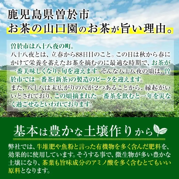 ＜お茶生産量日本一の鹿児島県産！＞鹿児島県曽於市産 小さいお茶屋の深蒸し茶～麗椿～(茶葉100g×1本・合計100g) 国産 緑茶 深蒸し茶【お茶の山口園】A1152