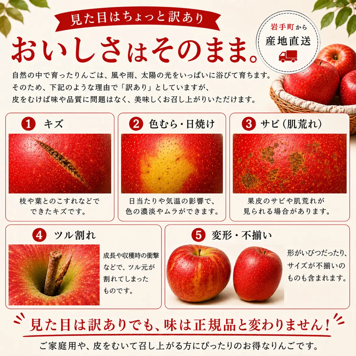 りんご 訳あり サンふじ 約5kg 令和8年産 先行予約