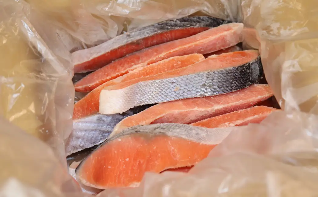 国産塩銀鮭切身《１ｋg》 銀鮭 フレーク 海鮮 さけ サケ 切身 しゃけ 切り身 冷凍 家庭用 レシピ ムニエル ちゃんちゃん焼き おかず 弁当 サーモン 魚 【MS10】