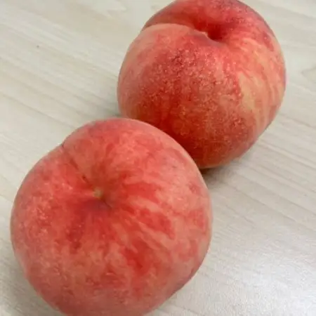 長野県浅間山麓　御代田町の桃　家族で楽しむ食べ切りハーフ箱(1～1.2kg)【配送不可地域：離島・北海道・沖縄県】【1754261】