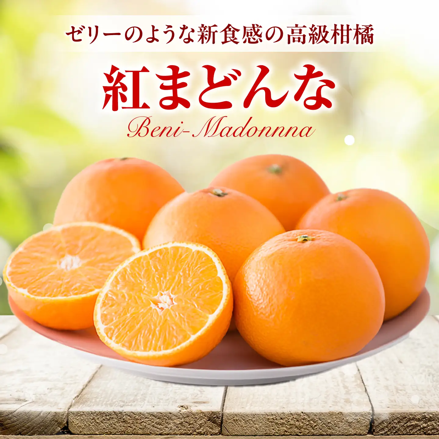 紅まどんな Lサイズ 6個入り 【11月中旬から12月下旬まで順次発送】/ フルーツ 果物 蜜柑 ミカン オレンジ 小玉 甘い 先行予約 箱 愛媛 / 愛媛県砥部町/株式会社フジ・アグリフーズ[BJBI017]