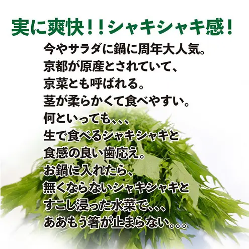 浜松市産 みず菜 約2kg（約200g×10袋）水菜 サラダ 野菜 キョウナ 京菜 ヒイラギナ 柊菜 センスジナ 千筋菜 静岡 浜松市【配送不可：離島】
