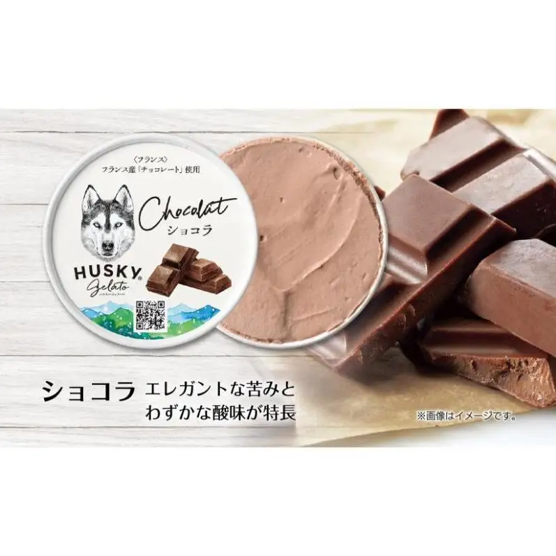 ハスキージェラート ショコラジェラート 6個セット ジェラート イタリアンジェラート アイス アイスクリーム チョコ ショコラ チョコレート チョコ味 グアナラ カップジェラート お取り寄せグルメ ご当地 送料無料 新潟県 新潟市