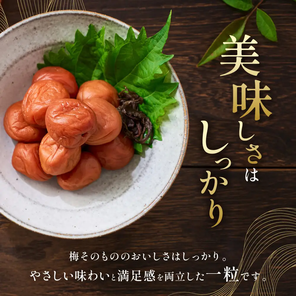 メディア掲載実績多数 宝梅 「結」 うすしお味 450g 塩分5% 紀州南高梅