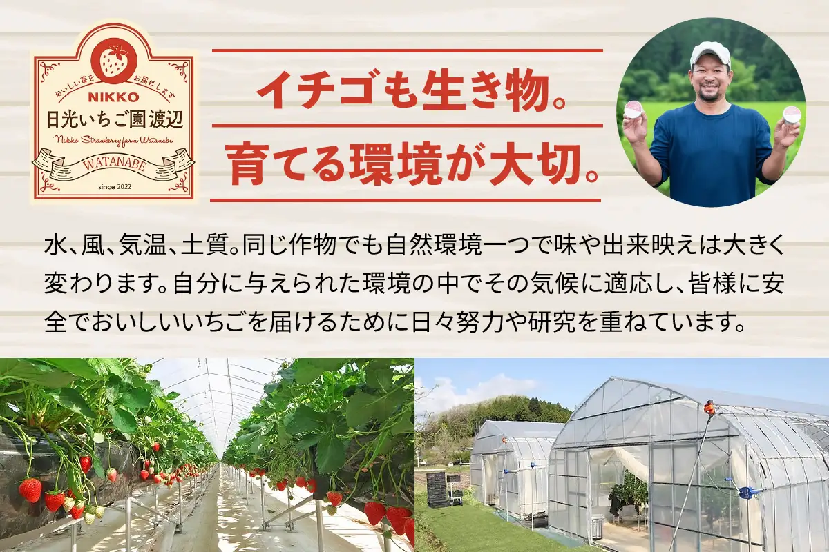 [先行予約][定期便／4ヶ月] 日光の自然が育む「完熟いちご」 4種類を毎月食べ比べ！[2027年1月より発送開始] [0965]