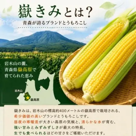 とうもろこし 朝採り 嶽きみ(だけきみ) 10本 L～2Lサイズ 冷蔵【配送不可地域：離島・沖縄県・九州】【1757166】