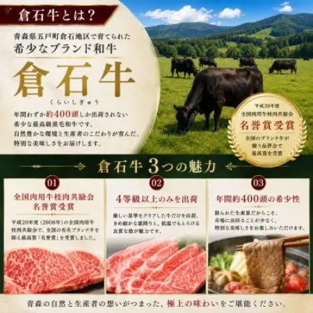 A4 ランク以上 あおもり 倉石牛 サーロインステーキ 約250g×2枚【配送不可地域：離島】【1757304】